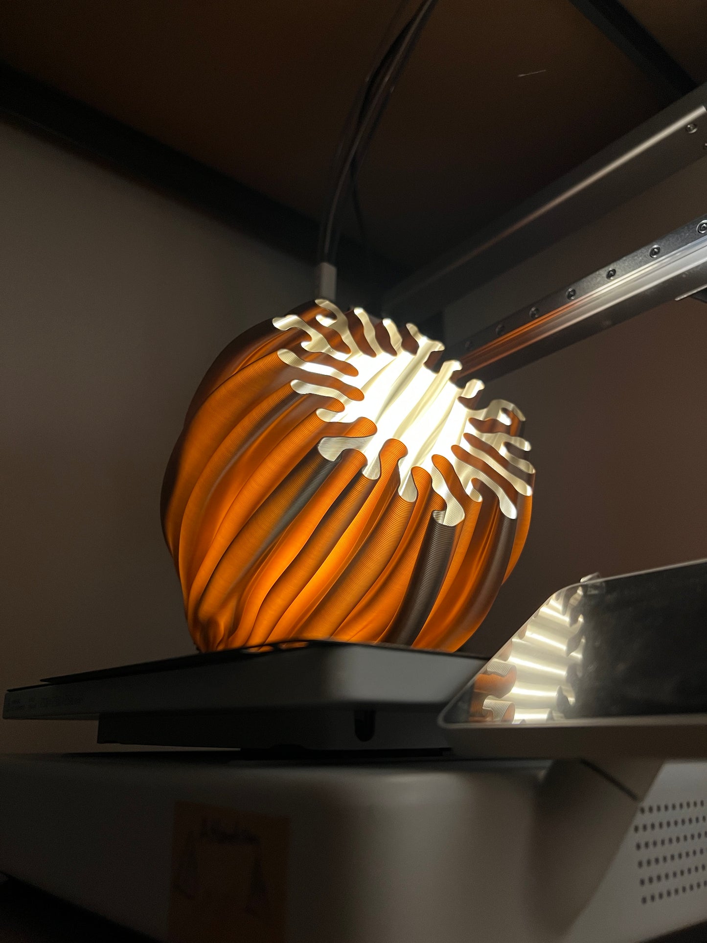 Lumina Coral Metal Edition